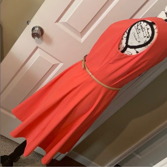 CB Established 1962 Dress - Picture 6 of 13